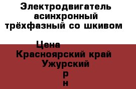 Электродвигатель асинхронный трёхфазный со шкивом › Цена ­ 3 000 - Красноярский край, Ужурский р-н, Ужур г. Электро-Техника » Другое   . Красноярский край